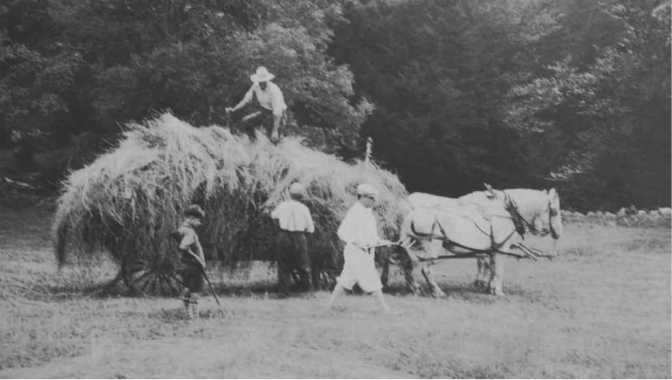 Family and neighbors gather hay, young Larry with his rifle at the ready.