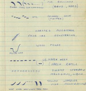 A page from Robert’s field journal displays his penchant for patterns found in bird songs.