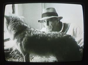 Later in Beuys’ “action,” the coyote grew less skeptical. Photo by Chloé lepetit