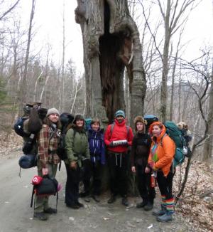 Common Ground participants pause in front of a prodigious tree on their hike into Merck Forest.