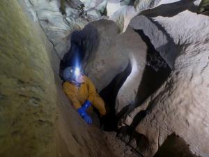Morgan looking for bats in a Massachusetts cave during a winter count with Massachusetts Fish and Wildlife.