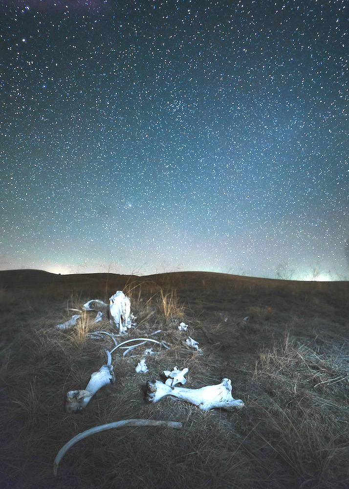 A horse skeleton rests under a sky full of brilliant stars at Pine Ridge Reservation, South Dakota. Photos by David Teter ’19