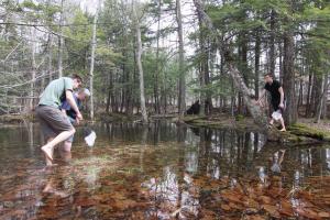 Matthew Czuba ‘16, Allison Turner, and Andrew Shough ‘14 explore a vernal pool, a unique forest habitat that will benefit from protection.