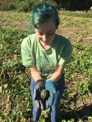Danielle Scobey ’22 cradles an acorn squash, part of the 1,200 pounds of winter squashes “gleaned” by students at Harlow Farm, in Putney, for donation to families in need. Photo by Clayton Clemetson ’19