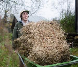 Nathaniel Van Osdol ’20 hauls mulch hay to the community farm during Work Day. Students participating in hands-on community projects also gain fodder for grappling with the ethical challenges of the Anthropocene. Photo by Clayton Clemetson ’19 