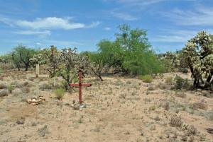 Crosses from Donde Mueren los Sueños share a lonely stretch of desert with cholla and mesquite. Photo by Alvaro Enciso 