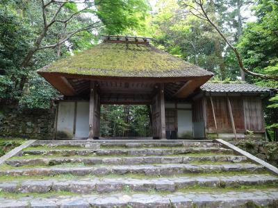 The gatehouse to the Honen, a small temple just off the “Philosopher’s Path” in northeastern Kyoto, one of the many cultural sites to be enjoyed by alumni joining Seth Harter in Japan. Photo by Seth Harter  