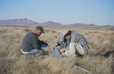 A field crew collects data on McKinney Flats, New Mexico, Charles Curtin’s field site for exploring a synthesis between social and ecological approaches in the early 2000s. 
