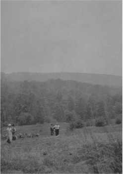 Summer visitors explore the hill in front of Villa Roma.