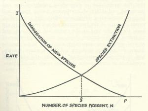 The mathematical model behind the theory of island biogeography has become a mainstay in community ecology.