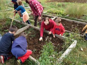 Junior Claire Trail weeds raised beds with a band of enthusiastic “Littles.” 