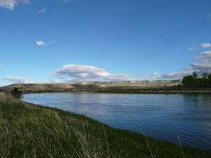 This stretch of the Green River supports a robust population of river otters, despite lacking the riparian zone trees they prefer for protection from coyotes, golden eagles, and other predators common in the area. Photo by Brady Godwin