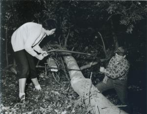 Students learn which side of the bow saw means “hardscrabble identity.”