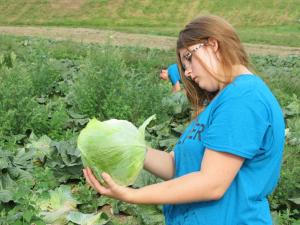 Glean Sweep: In September, seven Marlboro students joined the United Way Day of Caring and helped glean 2,467 pounds of food, which was donated to the Vermont Foodbank, at Harlow Farm in Westminster. 