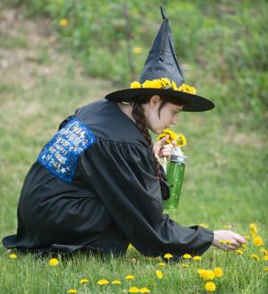 Courtney Varga collects dandelions. Photos by Jeff Woodward