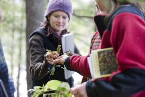 Mara Eagle ‘12 learns about the local flora during a Plants of Vermont class, one of several courses that makes use of the ecological reserve. Photo by Jeff Woodward