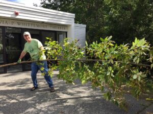 Richard Glezjer, provost and dean of faculty, was part of a team of faculty, staff, and students who tackled the overgrowth of saplings crowding the entrance to Whittemore Theater during Community Service Day in September. Learn more at marlboro.edu/service. Photo by Kristin Horrigan