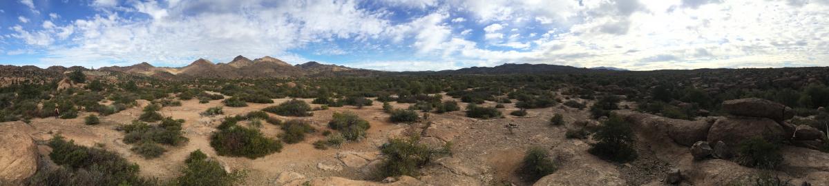 The Sonoran Desert outside Arivaca, Arizona, is a desolate landscape that has claimed the lives of hundreds of migrants who risked everything for a chance at a better life. Photo by Lauren Beigel