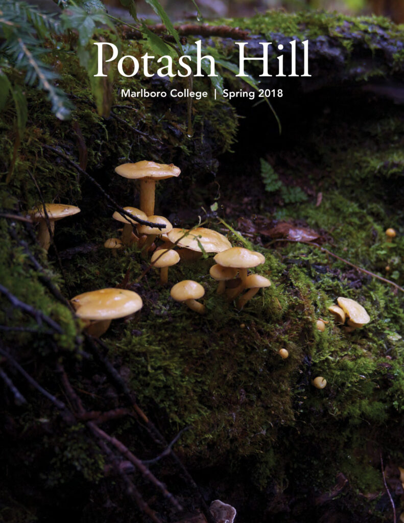 Potash Hill Spring 2018